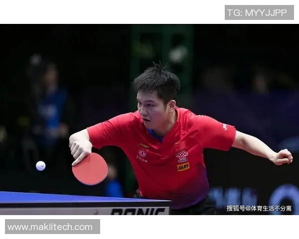 武汉排球队意识表现分析大满贯点评展现团队精神与战术执行力