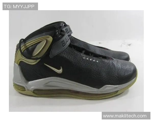 巴克利与罗宾逊的巅峰对决：篮球传奇的荣耀与挑战之路