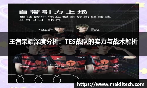 王者荣耀深度分析：TES战队的实力与战术解析